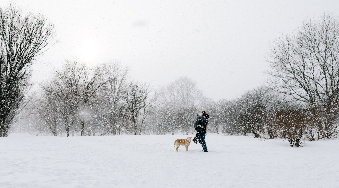 man and woman kissing in a park on a snowy winter day with their dog in a field