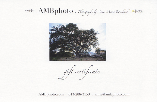 AMBphoto gift certificate