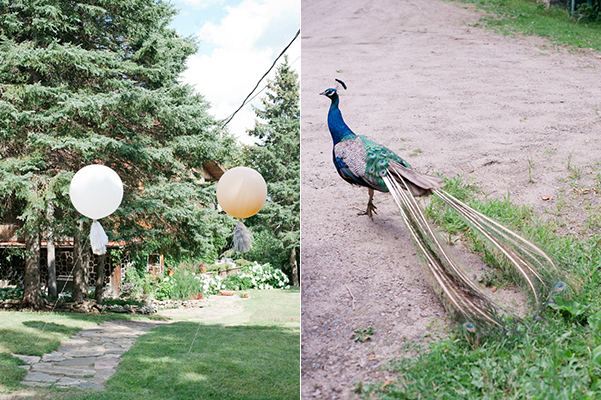 Renfrew County Cottage Wedding, Ontario